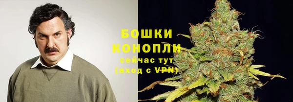 2c-b Алзамай